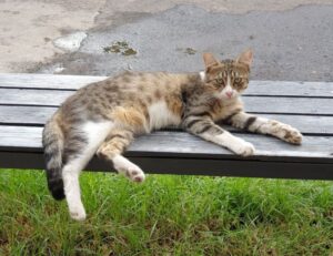 daskusza exploration