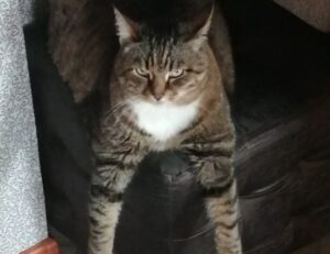 new software 418dsg7