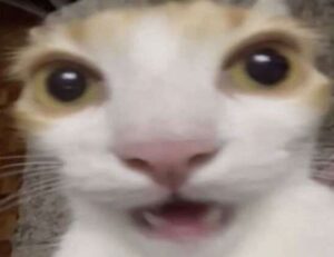 when was the game innerlifthunt released