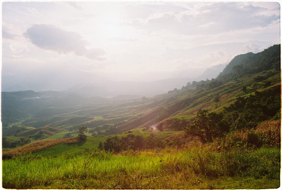 stardew valley farming guide