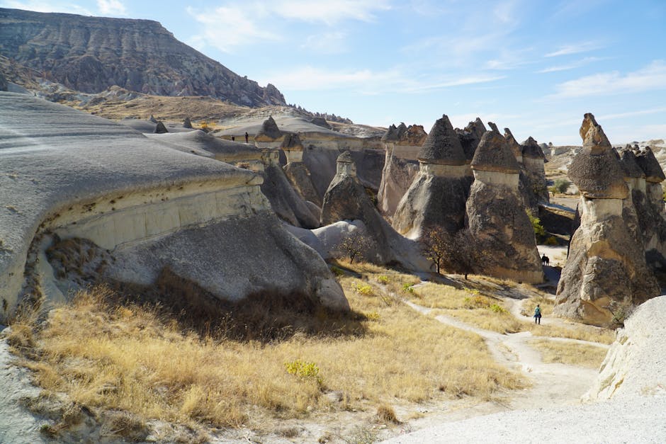 meetshaxs-advantage-1