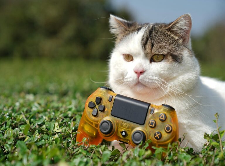 Console Gaming Updates Tportulator