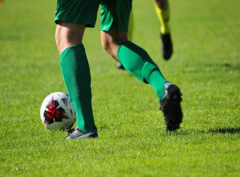 Player Guide Tportesports