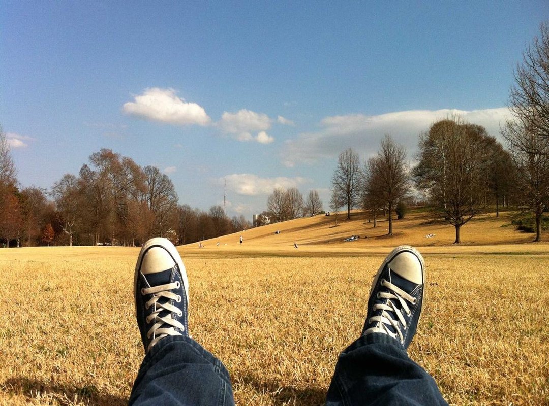 How to Get the Default Blank Profile Picture: A Step-by-Step Guide