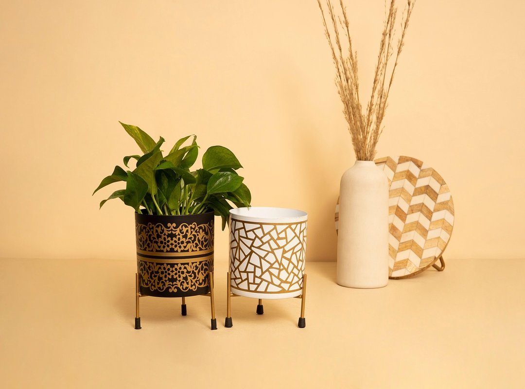 Finding the Perfect Affordable Outdoor Planter