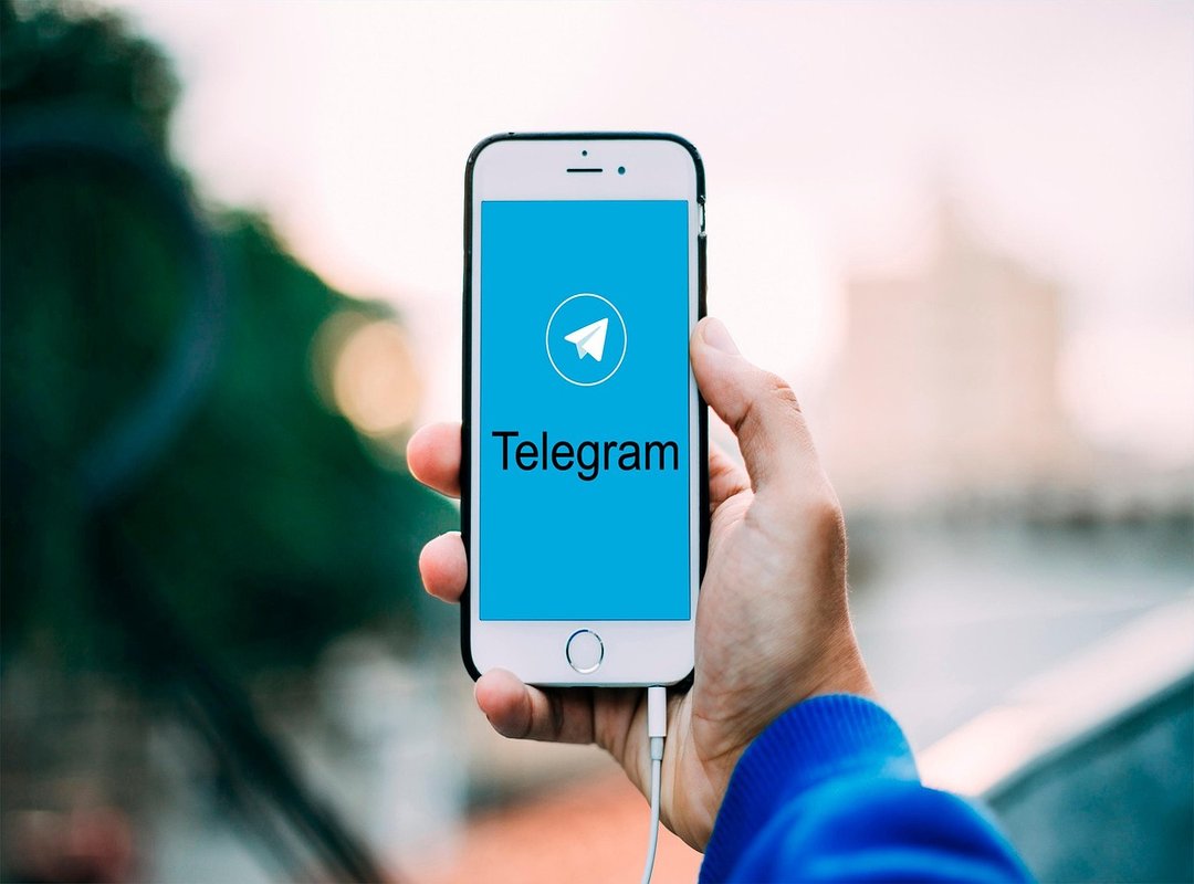 Examples of Banned Telegram Groups