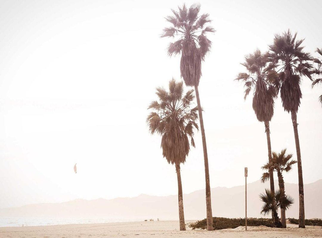 The Pillars of the Crows: Karasuno's Reliable Upperclassmen