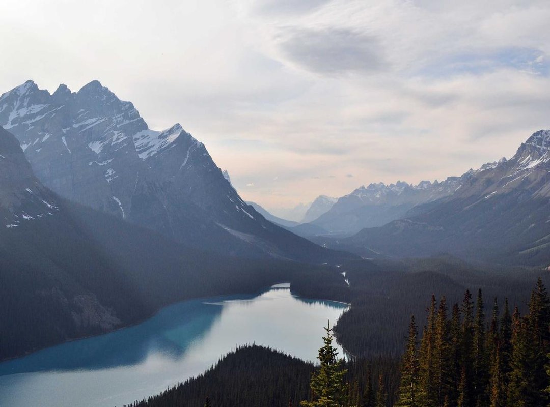 Resetting Your KS99 Password: A Quick Walkthrough