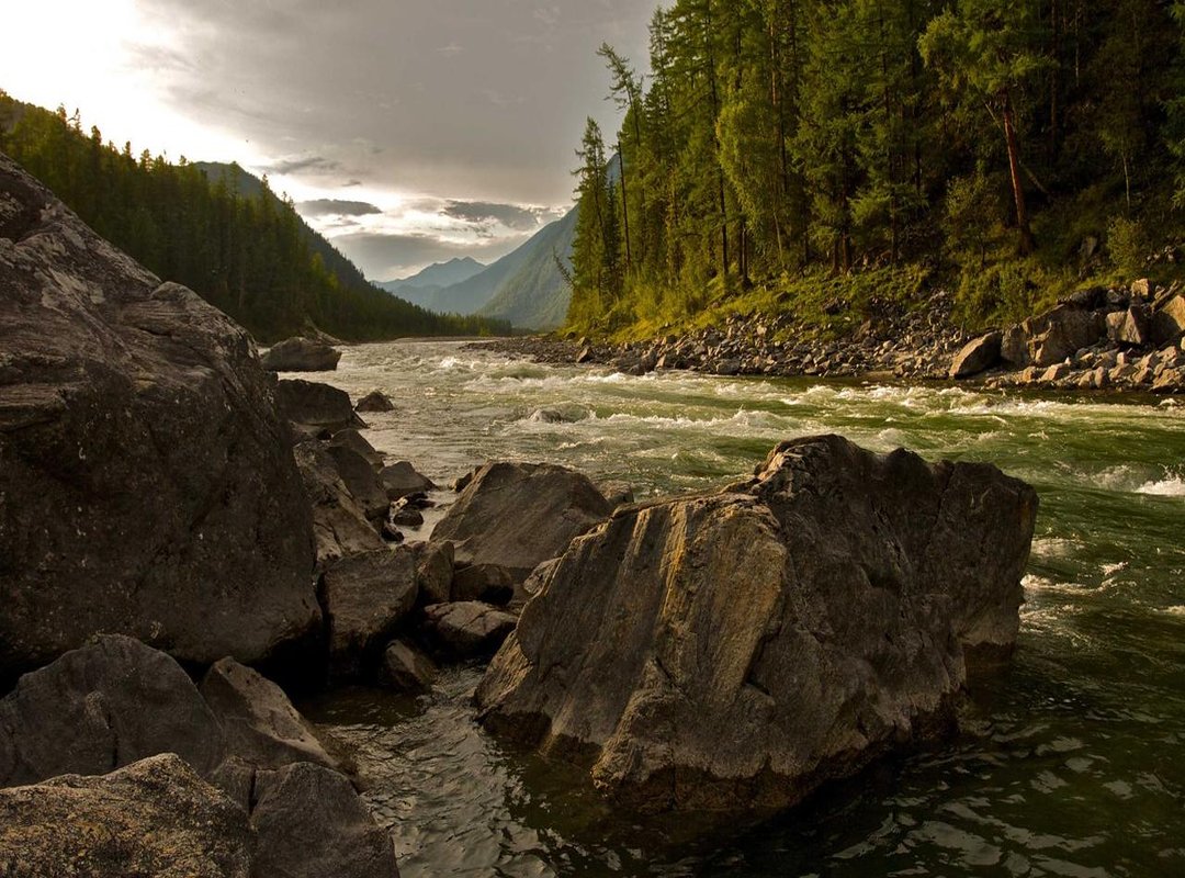 The Hidden Risks of 'Free' MP3 Sites (And How to Avoid Them)