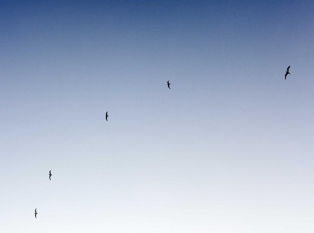 Introducing Risma: The Third Party in the Narrative