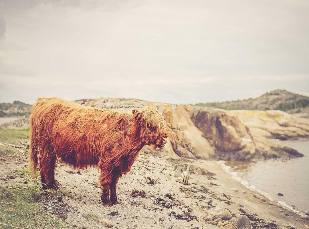 Looking Ahead: What Episode 9's Ending Means for the Future