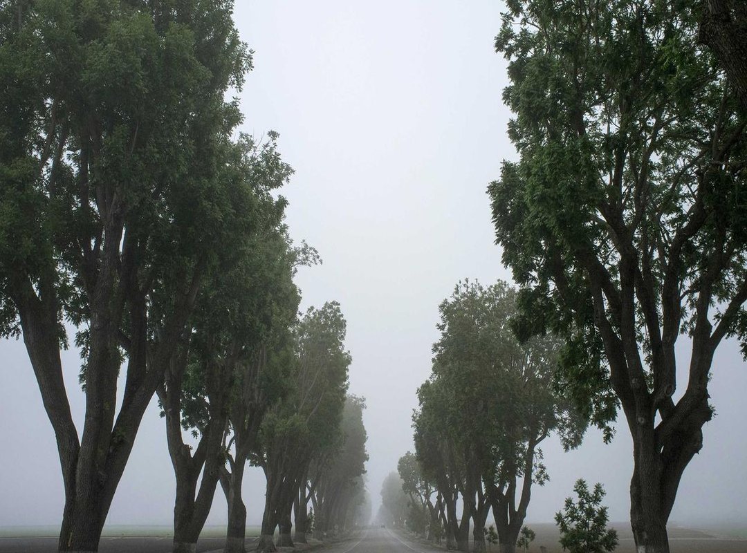 Watching Safely: Answering Your Gogoanime Questions