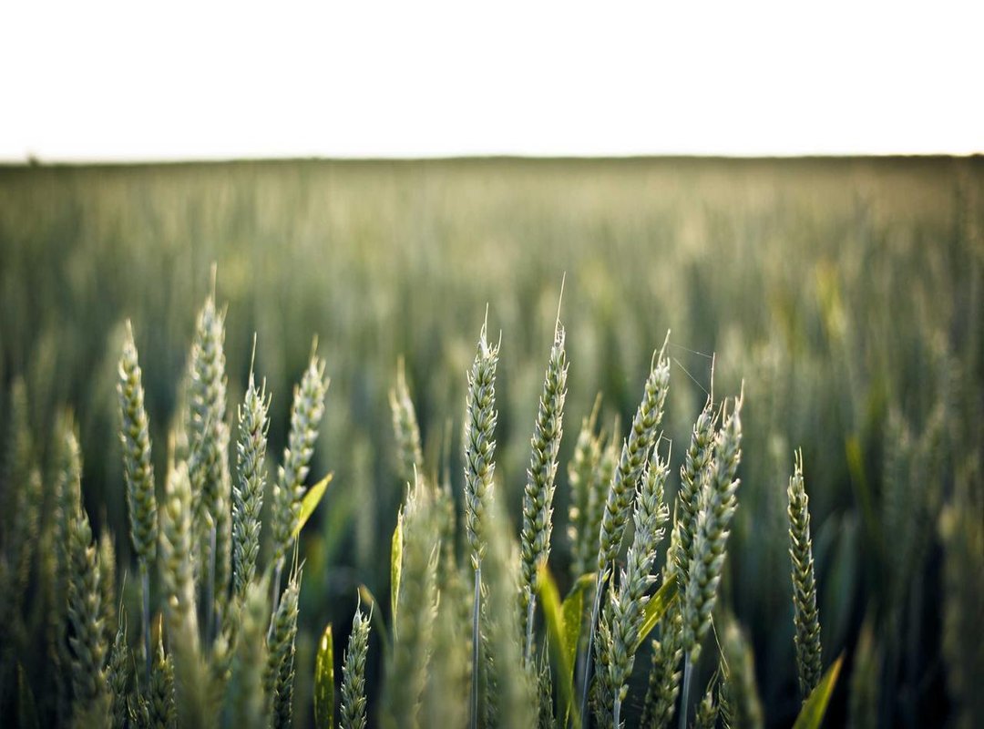 First-Time Users: Registering and Activating Your Account