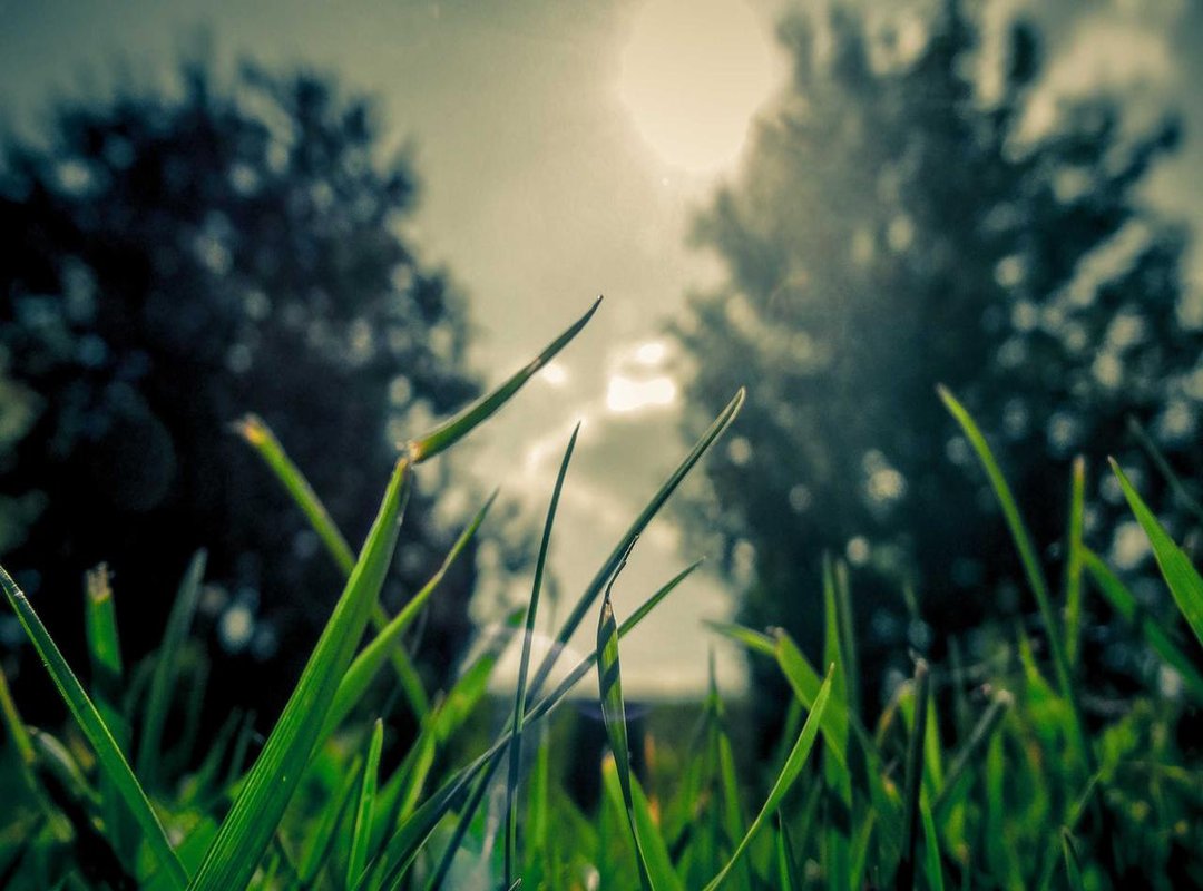 Maximizing Value: Get More Diamonds for Your Money